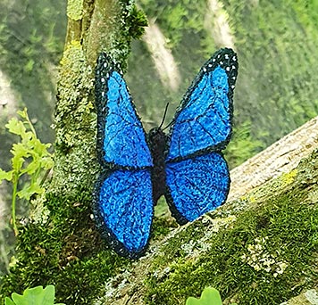 Mariposa @chakrasymandalas