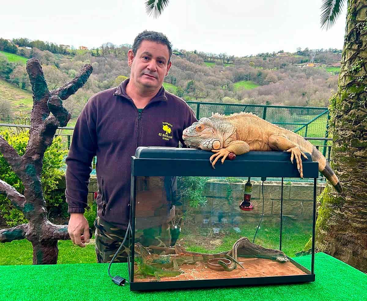 Gonzalo Rubio, promotor del Zoo y Centro de Rescate El Bosque Gonzalo Rubio, promotor del Zoo y Centro de Rescate El Bosque (Oviedo) con algunas iguanas