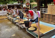 Campeonato Nacional de Bateo de Oro en Navelgas