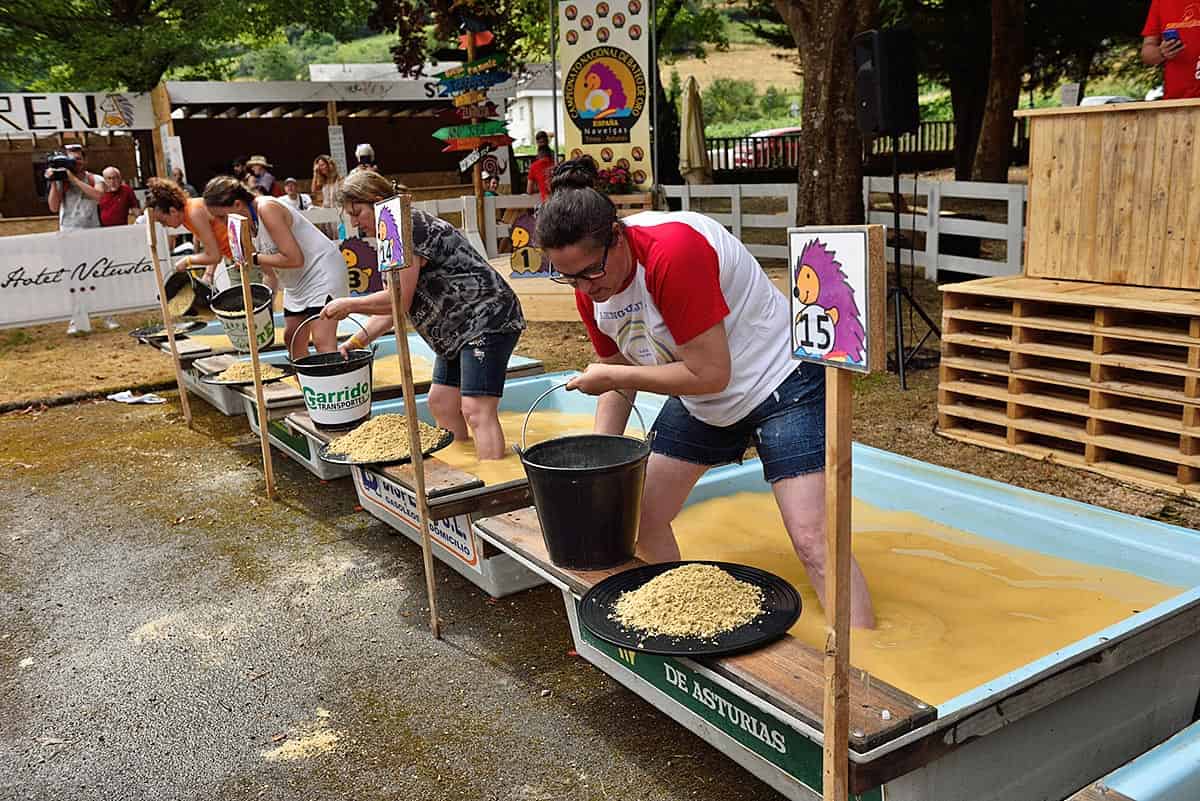 Navelgas, 23 años en el bateo de oro Campeonato Nacional de Bateo de Oro en Navelgas