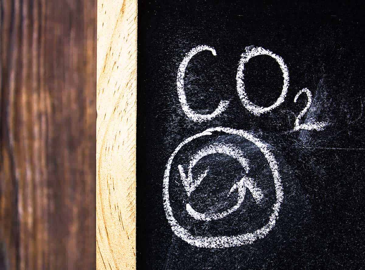 La transformación del dióxido de carbono en combustible, una utopía que podría ser realidad El nuevo catalizador que podría ayudar a convertir el dióxido de carbono en otros combustibles de manera económica y eficiente