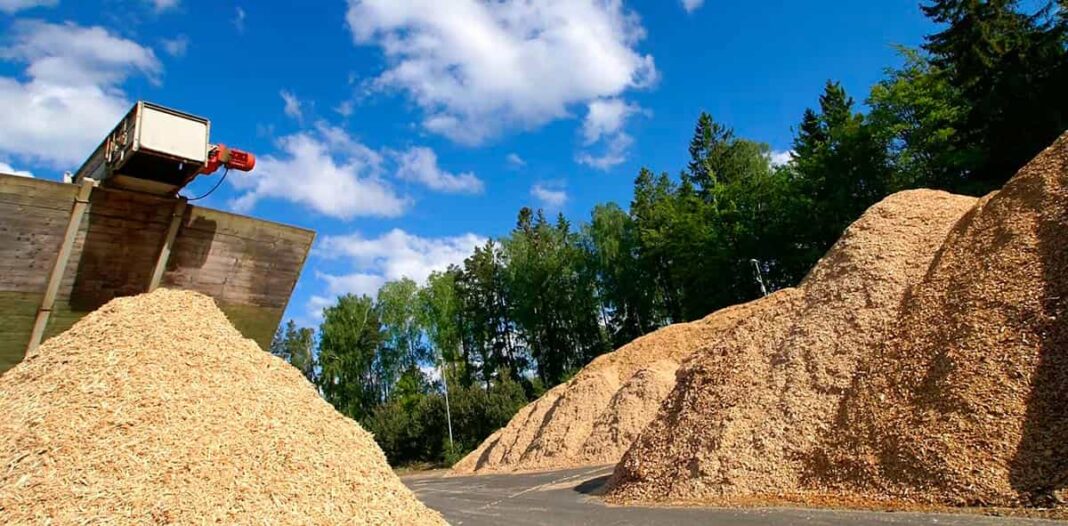 Desmontando mitos del uso de biomasa forestal para generar energía