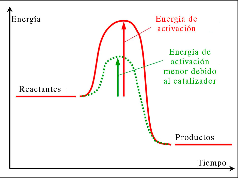 Reducción de la energía de activación de una reacción química por acción de un catalizador.