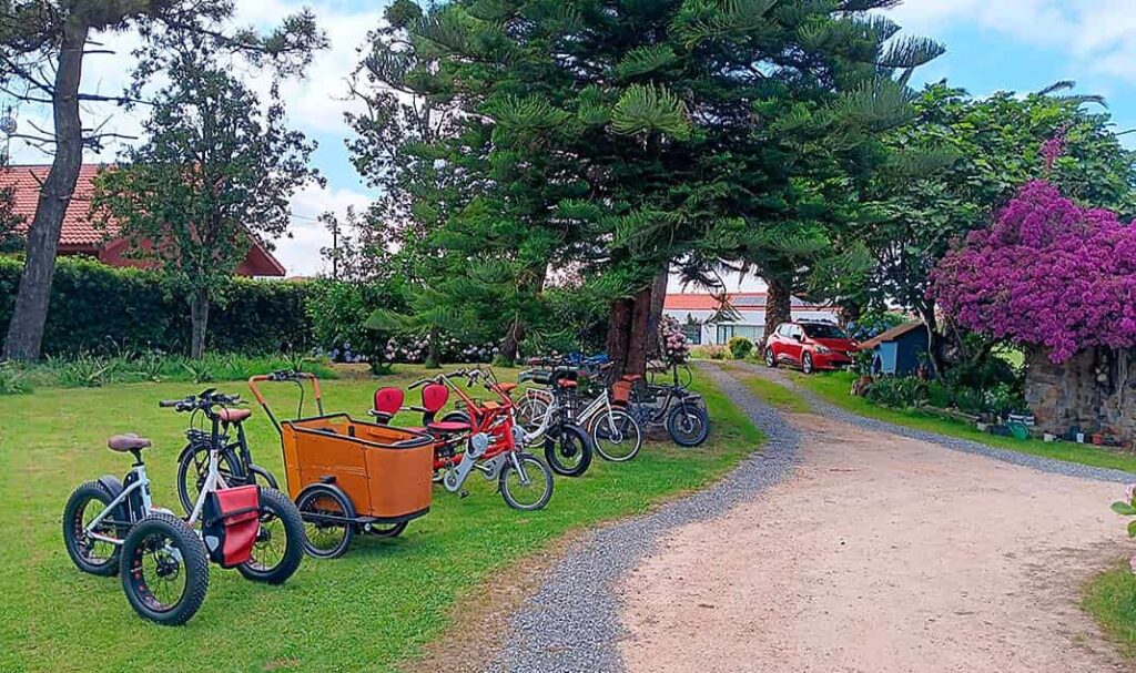 Algunos de los modelos de bicis electricas adaptadas de la empresa Los Pilares de Carreño.