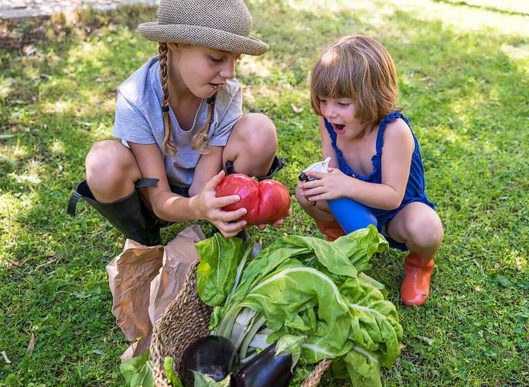 Niños con cosecha de la huerta