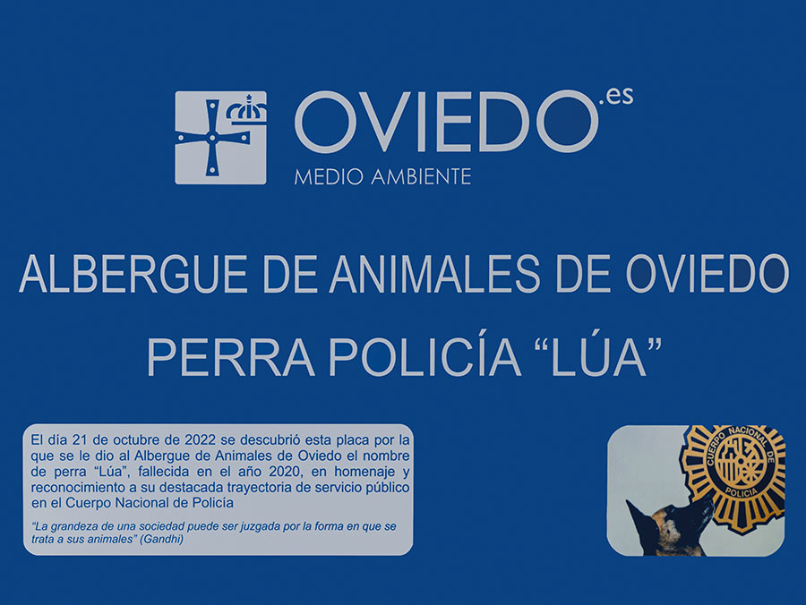 Albergue de animales de Oviedo Perra Policía Lúa.