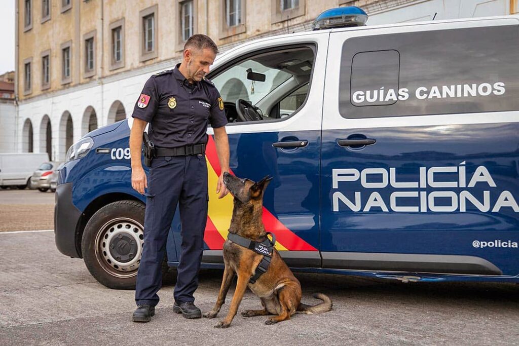 David Rodríguez, guía de la Unidad Canina de la Policía Nacional en Oviedo