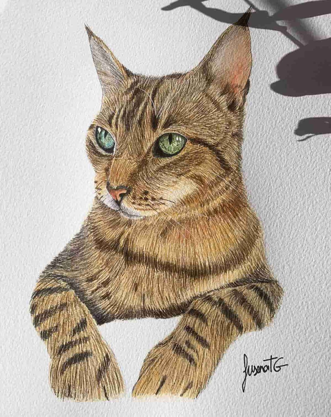 Leo, dibujo de Susana Tamargo García