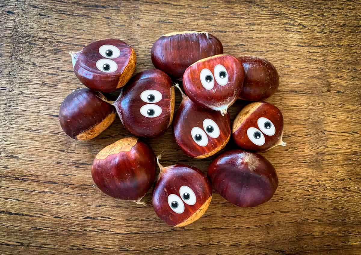 ¿Cómo tienes la castaña? Castañas animadas