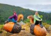 Montaje de Olga Busom (izda.) y Ana Cid en la escultura 'Par de bellotas' del escultor con motosierra Eugenio Linares. Ruta con Arte, en Santalla d'Oscos