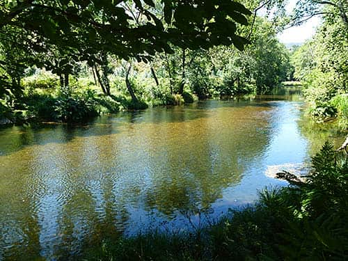 Río Xesteira, San Tirso de Abres