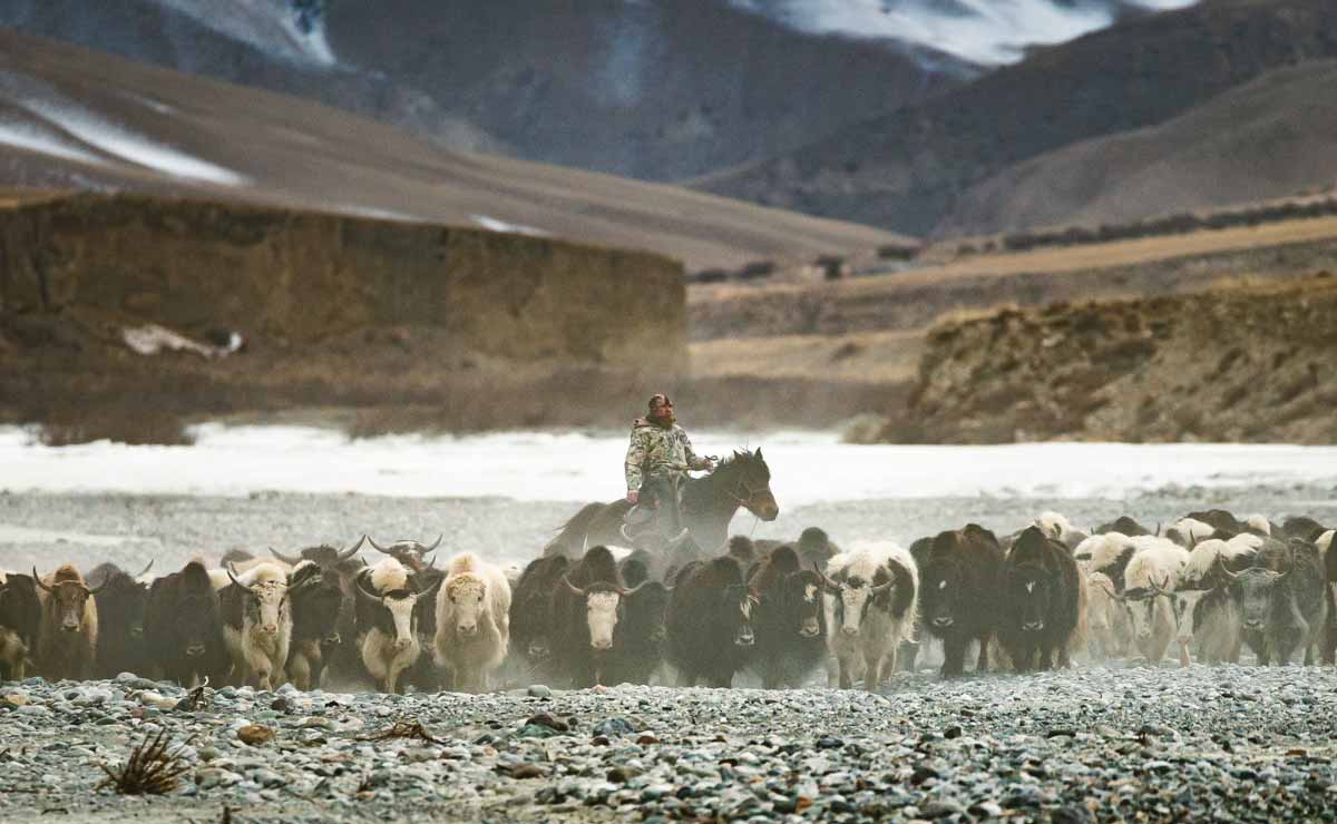 Álex Galán, director de Territory: «Me gustaría que se recuperase el orgullo primitivo del ser humano» (2ª parte) Pastor de Kirguistán. Imagen para el documental de Territory