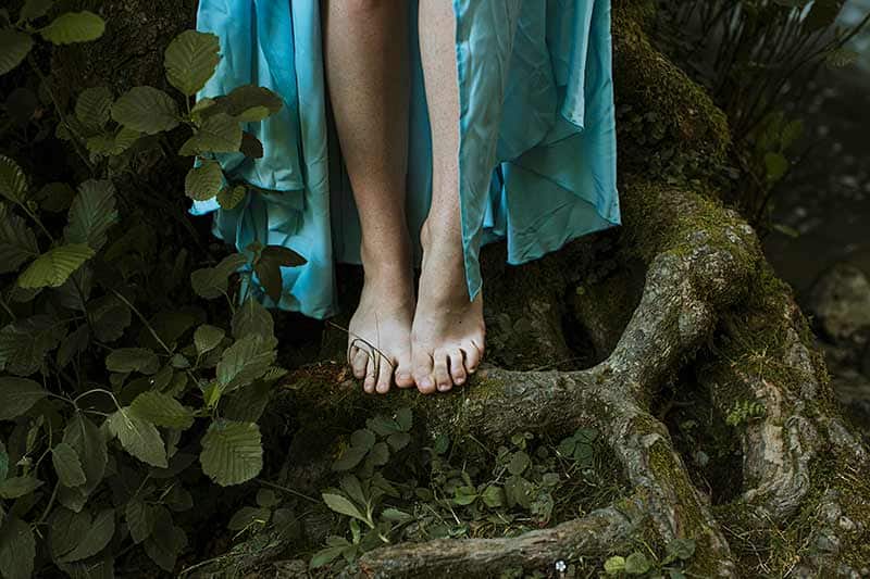Donde nace el bosque 2 Un suelo sano vibra bajo nuestros pies como un universo secreto del que brota la vida sin hacer ruido. Relato de Noelia Velasco para fusionasturias.com