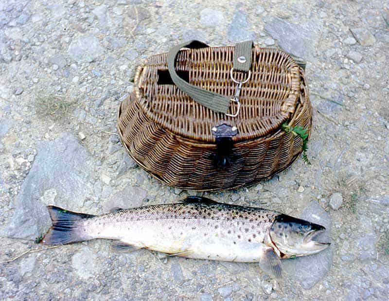 Anécdotas de 21 años de río por tierras asturianas 2 Reo