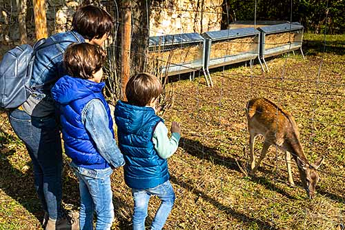 Verano paleolítico en Asturias 2 Paseo guiado por los cercados en el Parque de la Prehistoria de Teverga.