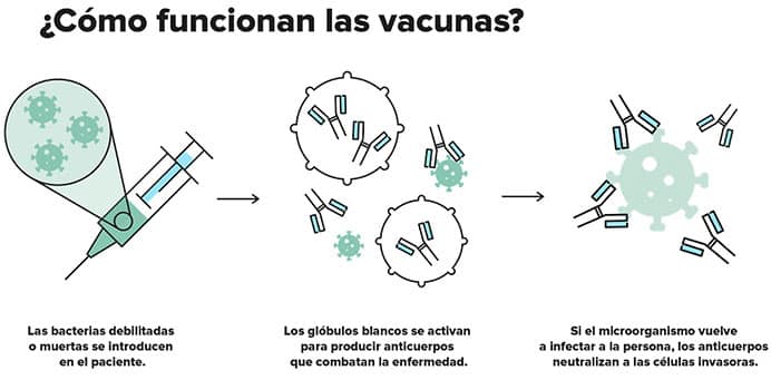 Cómo funcionan las vacunas.