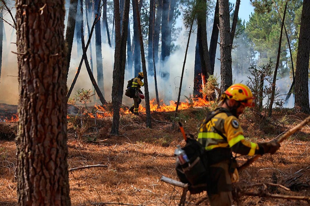Imágenes de los últimos incendios acontecidos en distintas zonas del norte de España