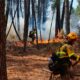Imágenes de los últimos incendios acontecidos en distintas zonas del norte de España