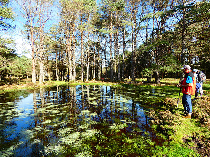 Charca en la ruta al área recreativa de Peña Queimada
