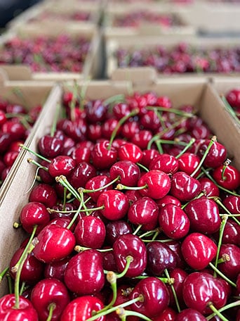 Cerezas de la empresa Kuma Cherries