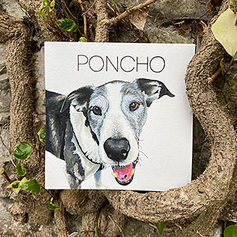 Retrato de mascota con rotuladores acrílicos de la ilustradora asturiana @PaintsbyCristal