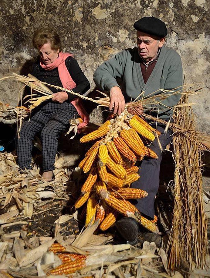 La "esfoyaza". Navelgas (Tineo)