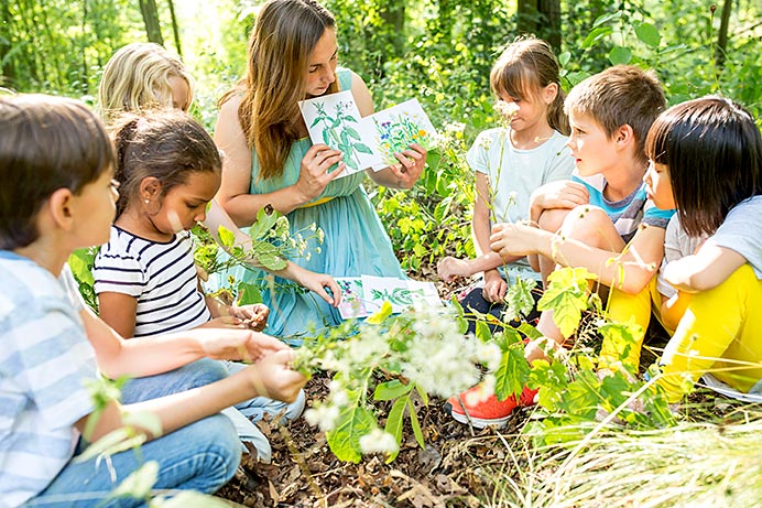 La educación ambiental, una asignatura pendiente 1 Actividad escolar medioambiental impartida en el bosque.