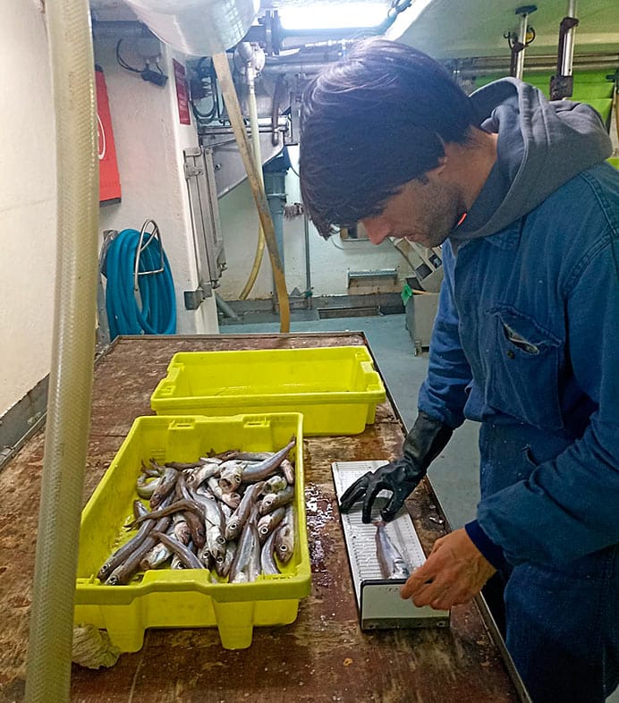 Estudios Marejada, el litoral asturiano en profundidad. Jorge Fernández, oceanógrafo 5 Estudios Marejada participó en campaña experimental del Lirio durante el mes de marzo de 2025, prestando asistencia técnica al Instituto Español de Oceanografía como observador científico y muestreador a bordo.