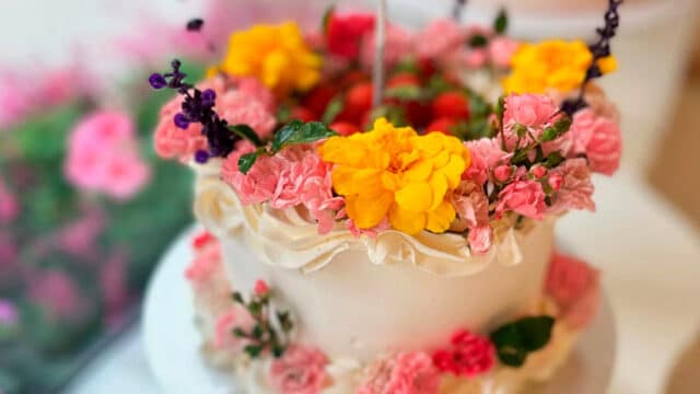 mi tifani, obrador 100% libre de gluten asturias