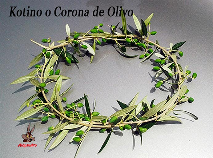 Los Juegos de Olimpia 3 Kotinos o corona de olivo.