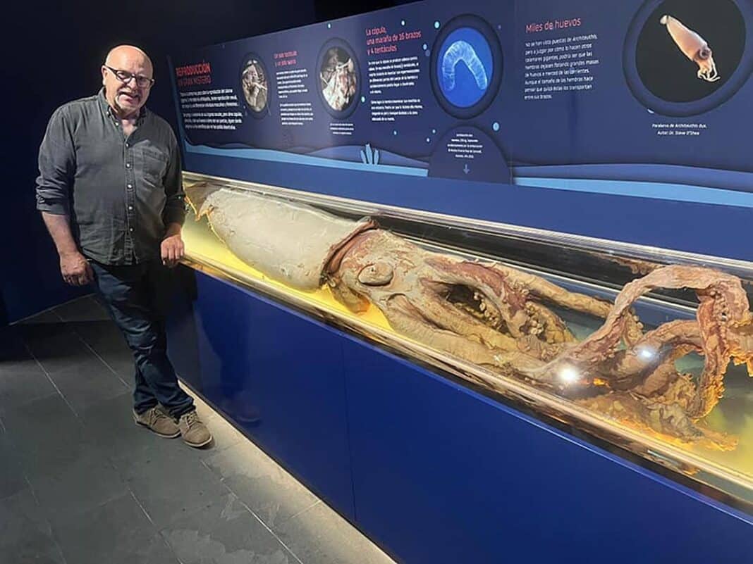 Luis Laria, fundador del CEPESMA, en el Parque de la Vida (Luarca) junto al primer ejemplar de Calamar gigante conservado.