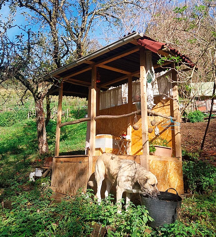 @elcampuylamaria: la transformación de una mujer a través de la naturaleza asturiana 2 Baño provisional construido por María @elcampuylamaria. Ahora han comenzado las obras para hacer uno dentro de la casa.
