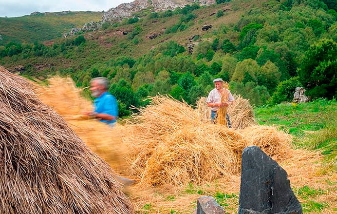 “Los que hicieron el mundo”: el autor que reivindica la Asturias rural y obrera 3 Gente del campo trabajando la hierba.