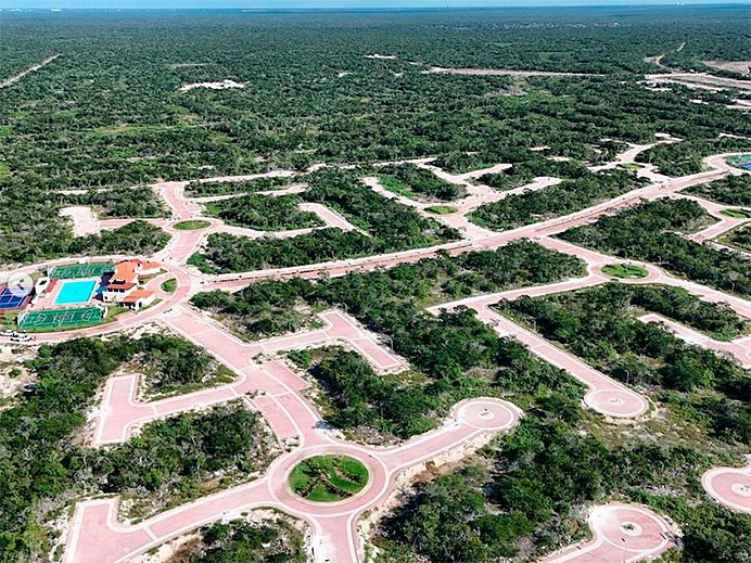Sergio Oceransky, el activista asturiano que incomoda al poder en México 3 Muestra de la devastación cometida por Ciudad Maderas Península, megaproyecto que se denunció.