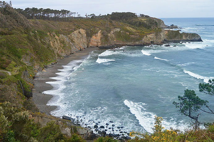 Playas para perros en Asturias: conoce a cuáles puedes ir este verano con ellos 2 Playa de Cambaredo, en El Franco (Asturias)