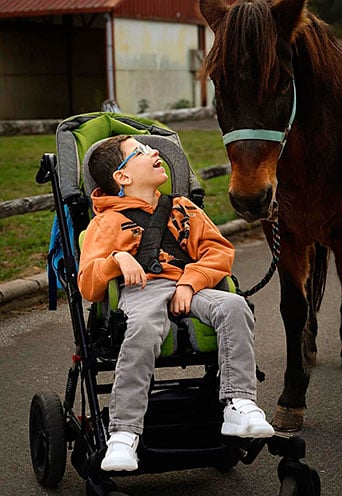 El caballo como compañero de salud, participación y transformación social 1 Asociación Equitación Positiva