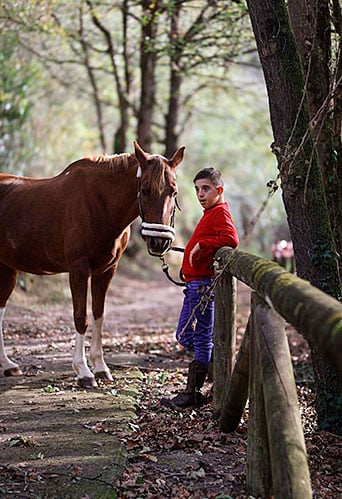 El caballo como compañero de salud, participación y transformación social 3 Asociación Equitación Positiva