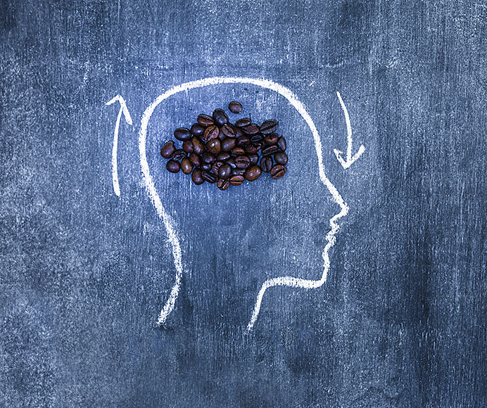 Un estudio relaciona el consumo de café y té con un envejecimiento cerebral más lento 2 ¿Por qué se produce este efecto estimulante? ¿Qué ocurre cuando tomamos cafeína?