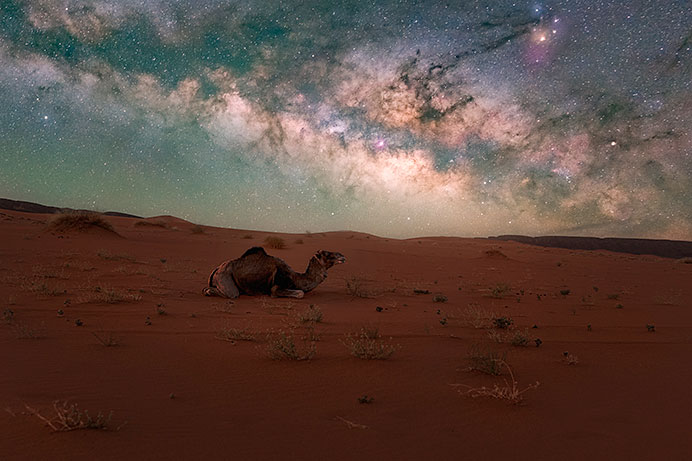 Dromedario en el desierto de Ouzina (Marruecos). Fotografía nocturna del fotógrafo asturiano Glendor Díaz Suárez