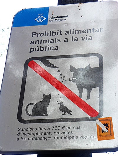 Dos santas y un mártir laico 4 No dar de comer a las mascotas en la vía pública