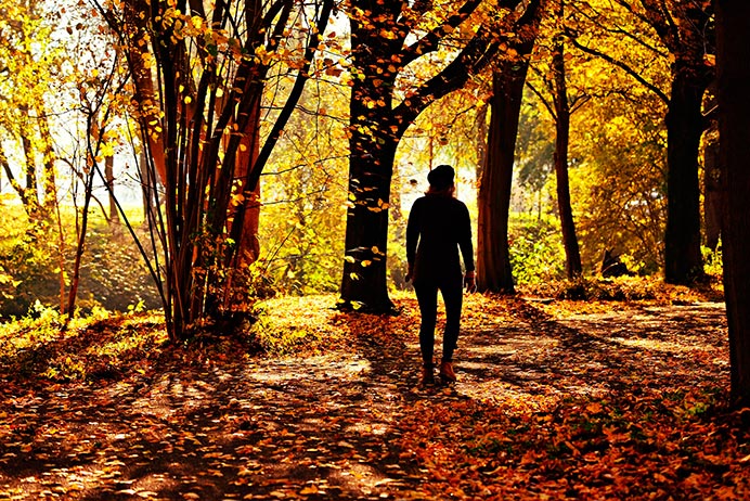 Octubre, cuando la naturaleza guarda su luz 1 Mujer camina por un bosque otoñal