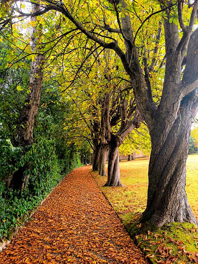 La hora secreta del jardín 1 La hora secreta del jardín