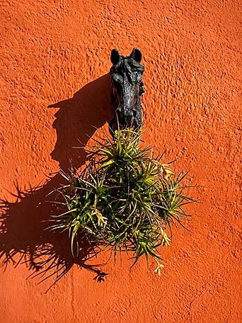 La hora secreta del jardín 10 La hora secreta del jardín