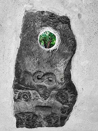 La hora secreta del jardín 9 Jardín Histórico del Museo Evaristo Valle (Gijón)