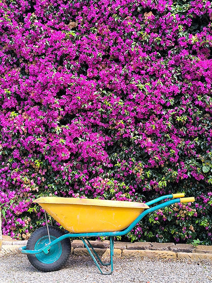 La hora secreta del jardín 6 Jardín Histórico del Museo Evaristo Valle (Gijón)