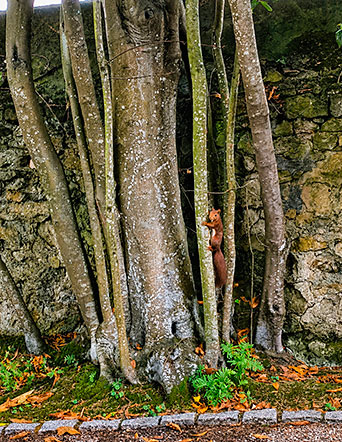 La hora secreta del jardín 3 La hora secreta del jardín