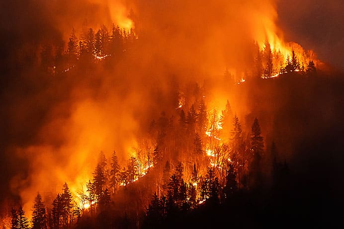 Quemar o morir 4 Incendio forestal sin control.