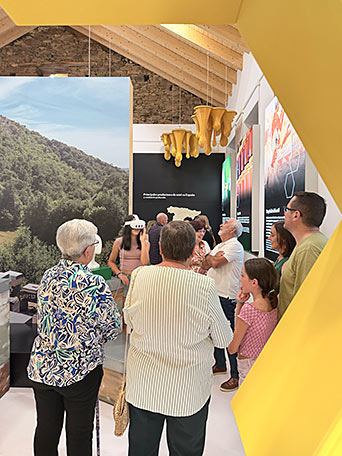 Feria de la Miel de Boal, 39 años manteniendo la calidad del producto 4 Visitantes en el Museo de la Miel de Boal