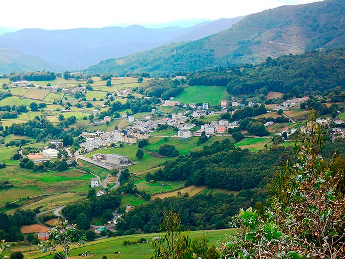 Feria de la Miel de Boal, 39 años manteniendo la calidad del producto 1 Panorámica de Boal