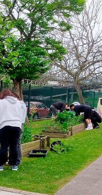 La educación ambiental, siempre con perspectiva social 3 Alumnos cuidando de un huerto escolar.